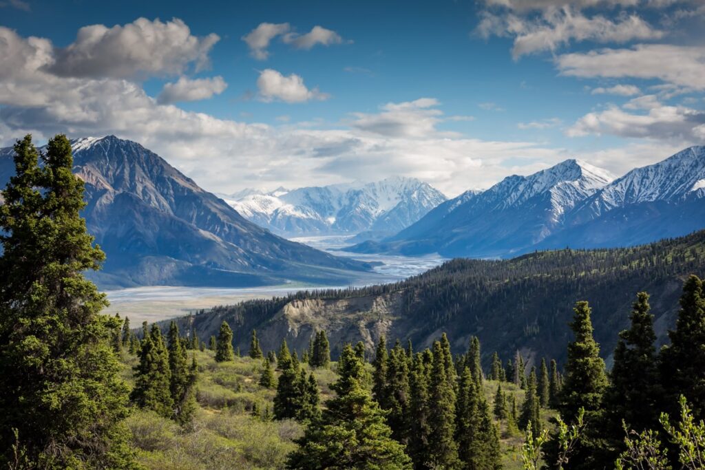 Remote Mountain Sanctuaries and Forest Bathing