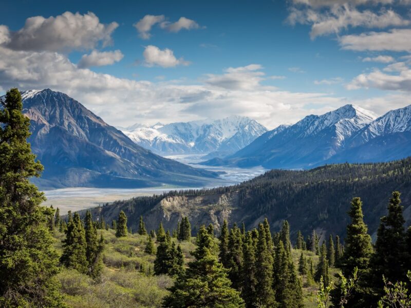 Remote Mountain Sanctuaries and Forest Bathing
